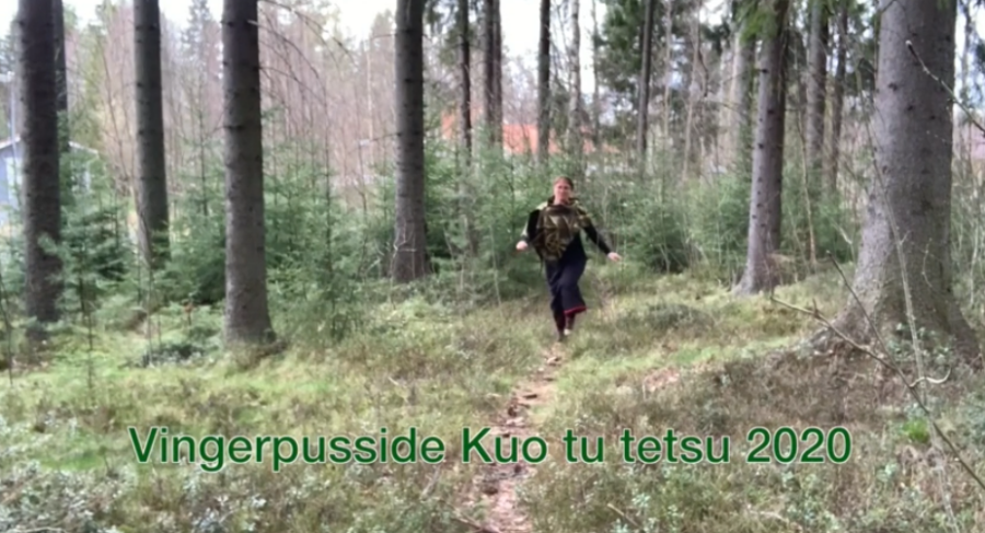 Rahvusvahelise tantsupäeva järelkaja
