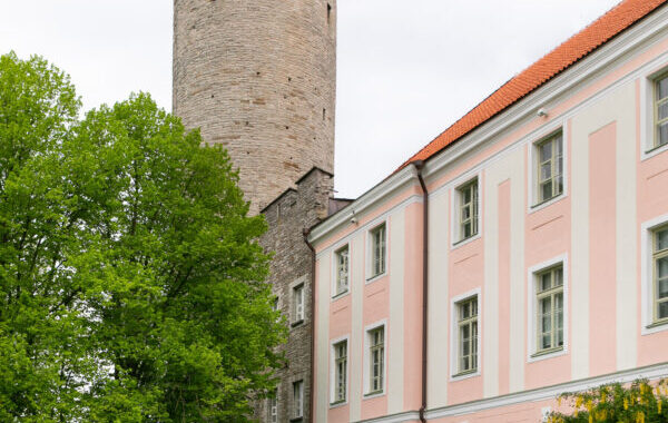 Eesti Lipu Selts tähistas Eesti lipu päeva