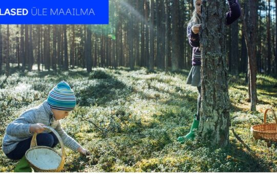 Üleilmse eestluse uudiskiri nr 17