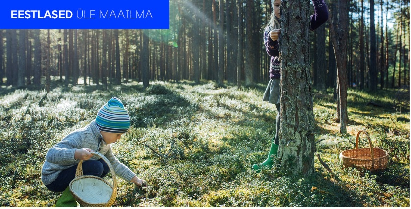 Üleilmse eestluse uudiskiri nr 17