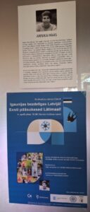 Eesti pääsukesed Lätimaal