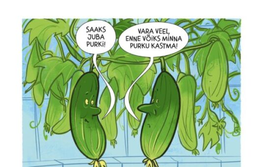 Hapukurgihooaeg
