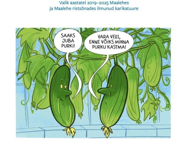 Hapukurgihooaeg