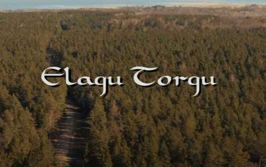 Elagu Torgu Kuningriik