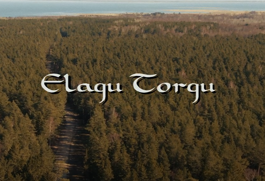 Elagu Torgu Kuningriik